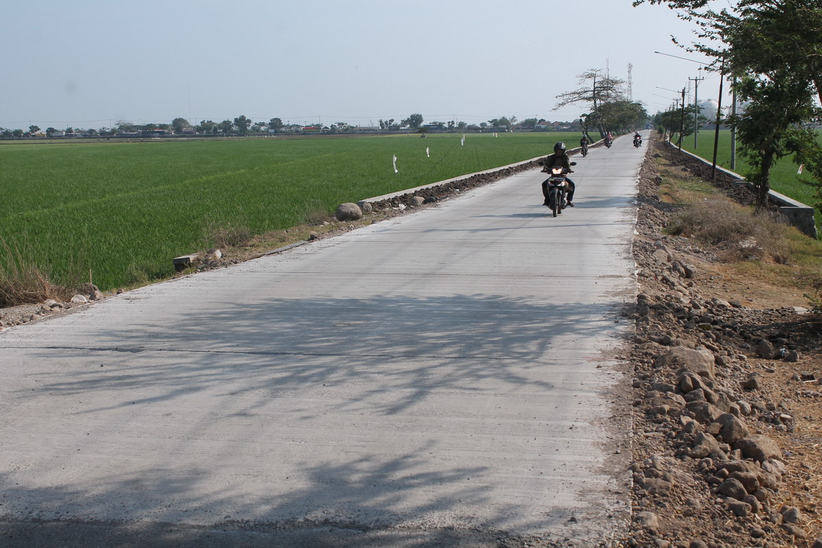 Pertanian Padi sebagai Komoditas Unggulan