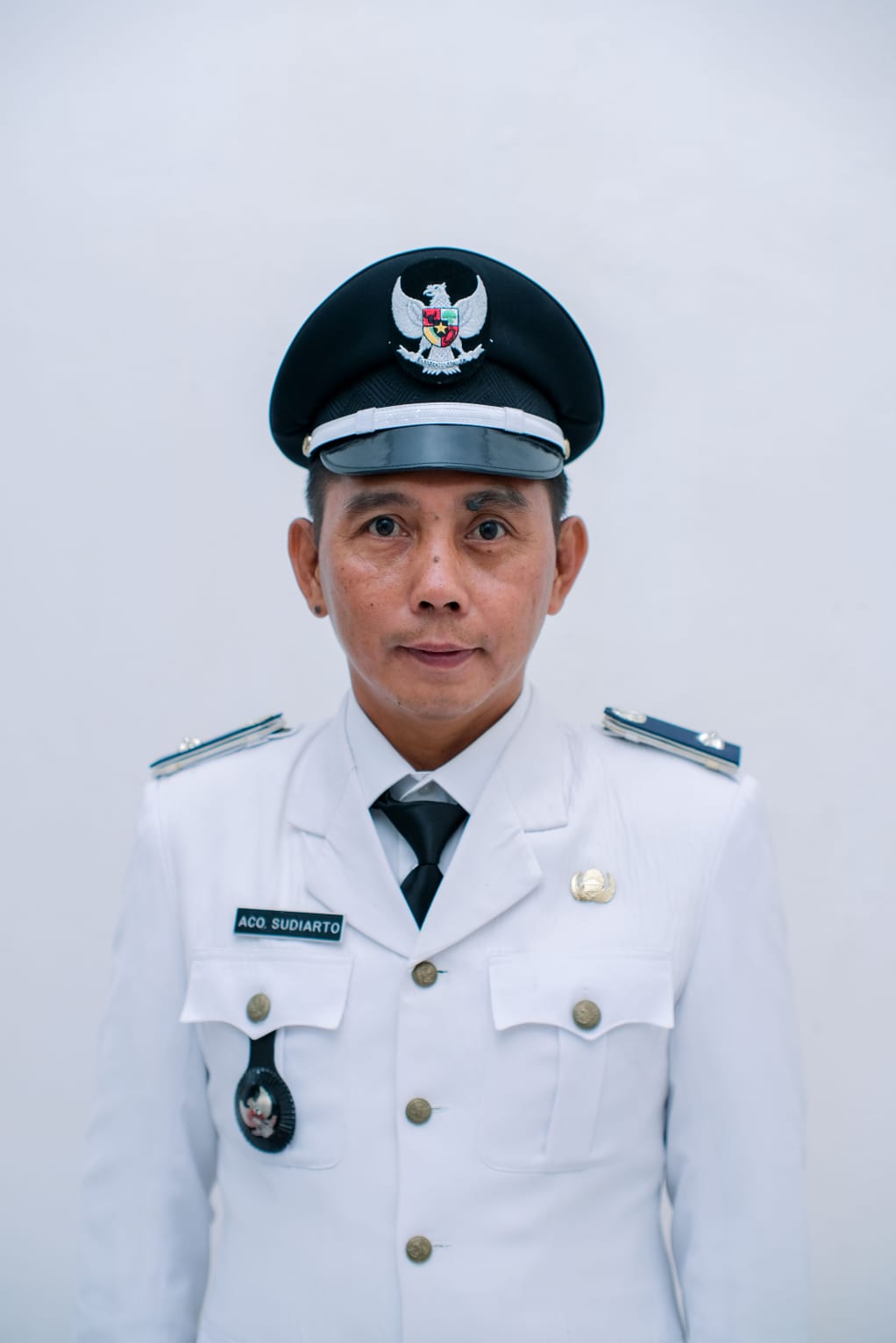 Kepala Desa